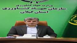 تنها ایستگاه اردک بومی کشور در فومن قرار دارد